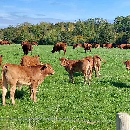 Schillerstueble Apartment *