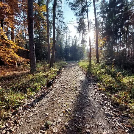 Apartment Schillerstueble