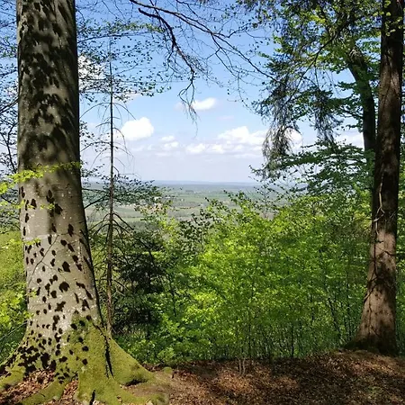 Schillerstueble شقة Bodelshausen