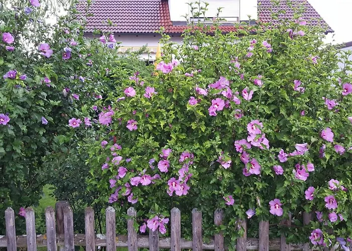 Appartamento Schillerstueble Bodelshausen