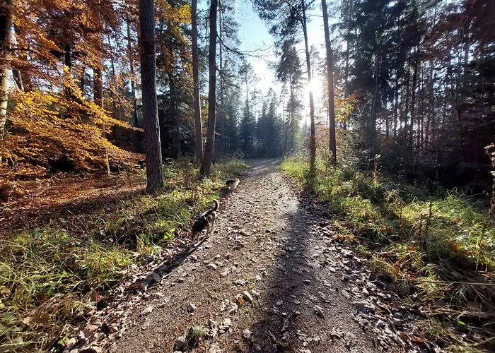 Apartment Schillerstueble