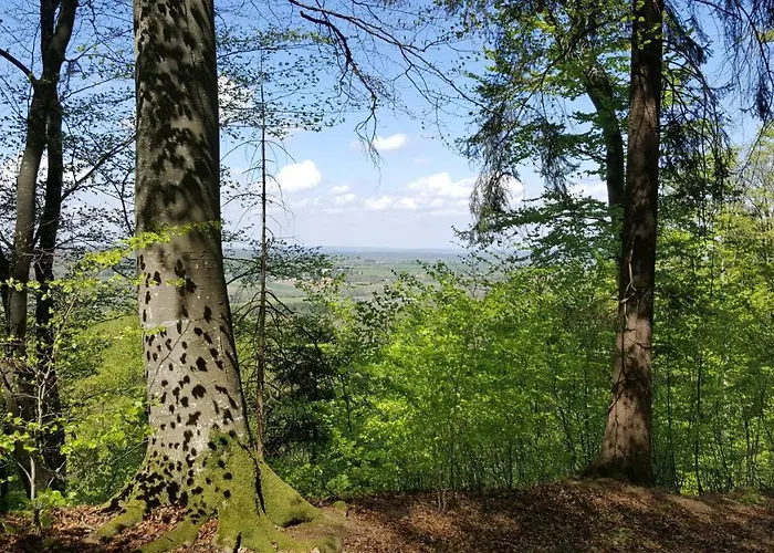 Schillerstueble Appartamento Bodelshausen